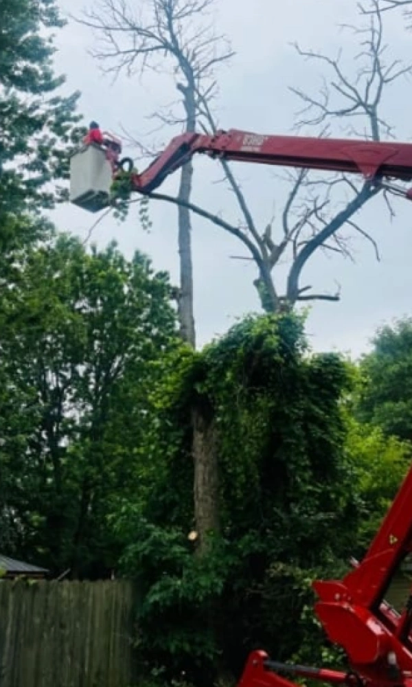 Gallery 3 Slide8Before