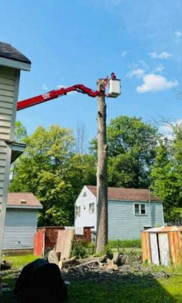 Gallery 1 Slide9Before