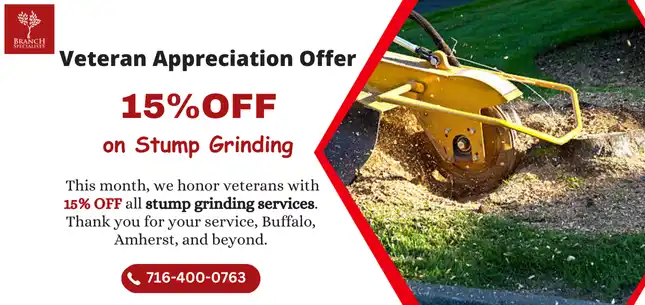 Seasonal Offers 6 Veteran Appreciation Offer ezgif.com png to webp converter