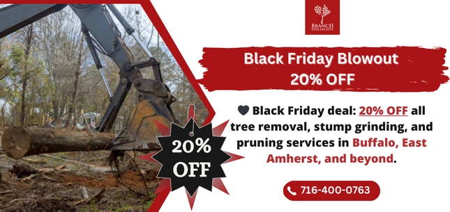 Seasonal Offers 11 branch 1 ezgif.com png to webp converter