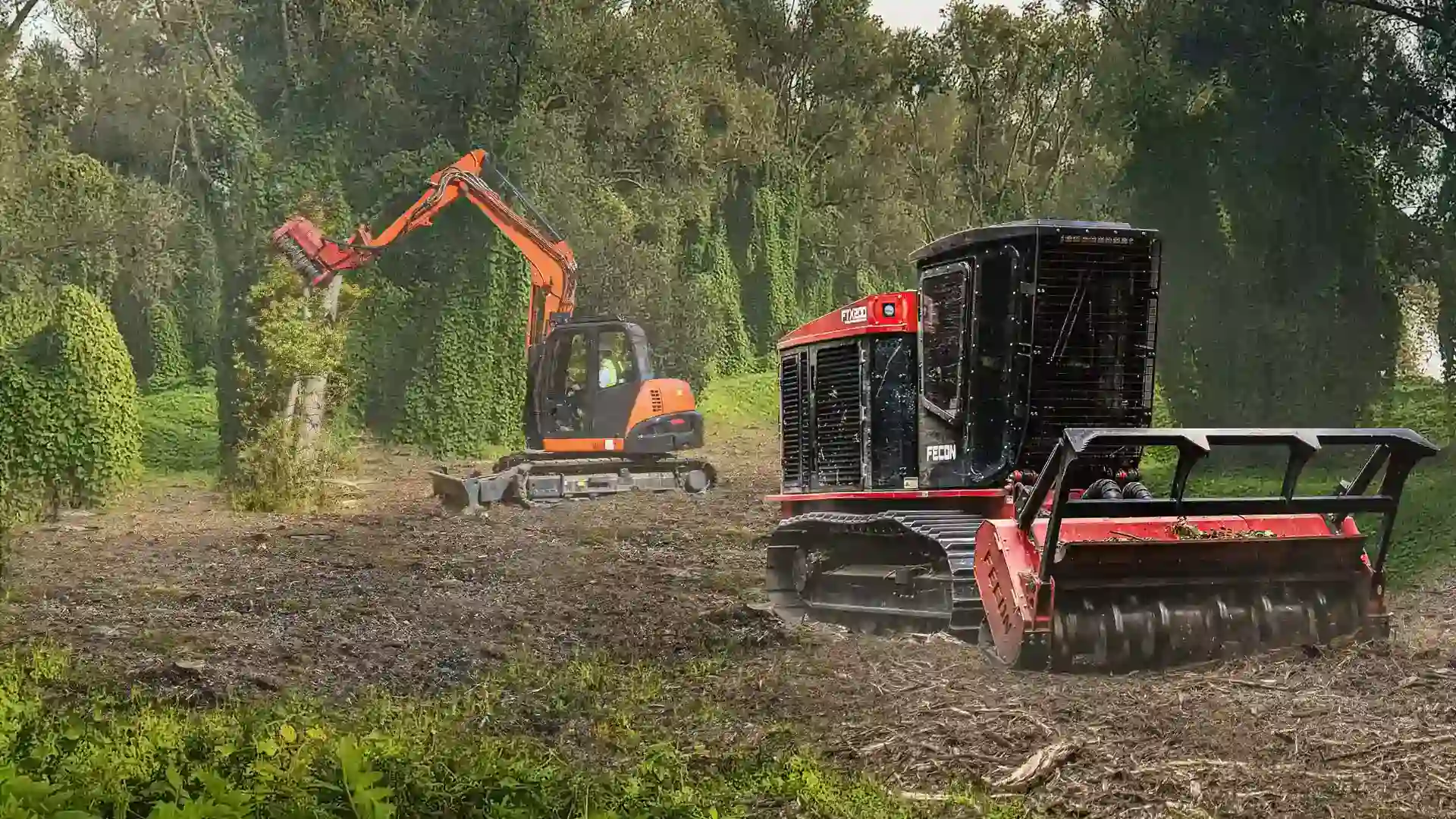 Branch Specialists certified arborist team member