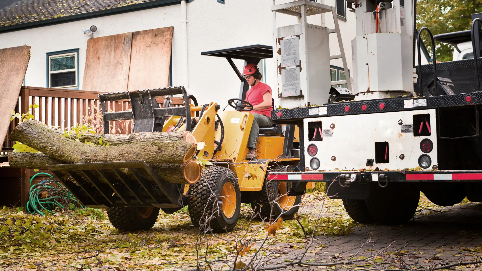 Emergency Tree Service 1 emergencytreeservice