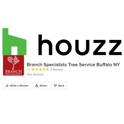 Home 18 houzz
