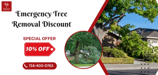 Seasonal Offers 2 offer post 1 1 ezgif.com png to webp converter