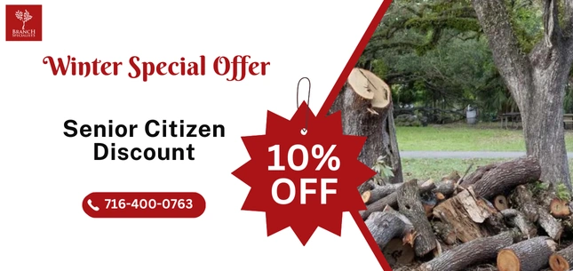 Seasonal Offers 3 offer post 3 ezgif.com png to webp converter