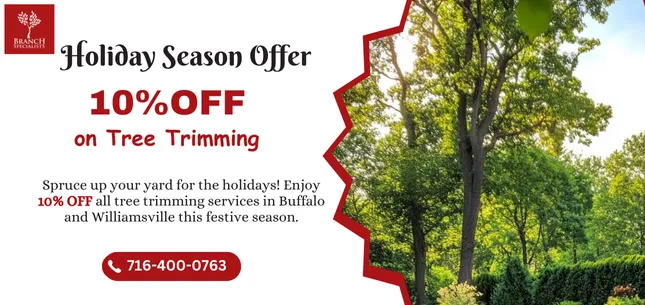 Seasonal Offers 4 offer post 5 ezgif.com png to webp converter