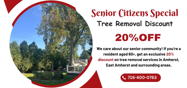 Seasonal Offers 5 offer post 7 ezgif.com png to webp converter