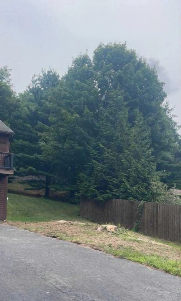 Gallery 18 After Image