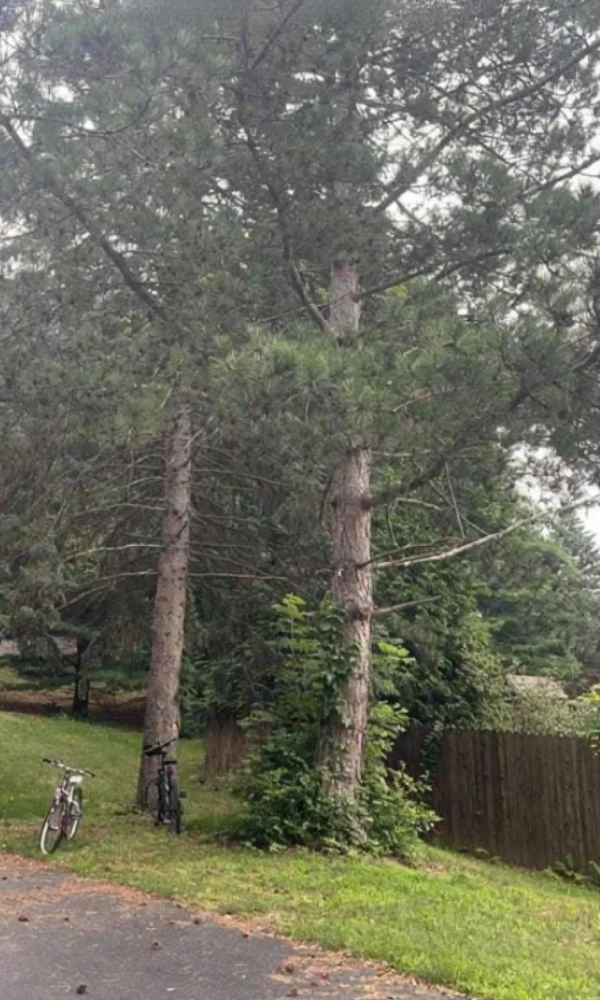 Gallery 17 Before Image