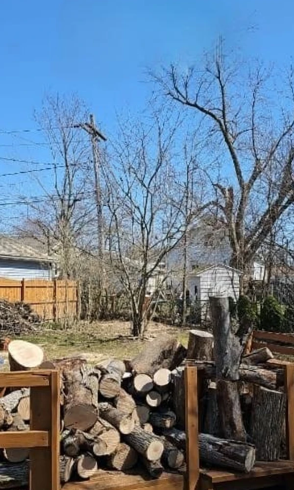 Gallery 16 slide2 after