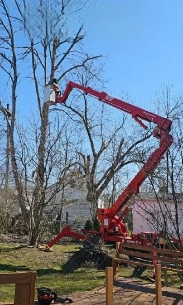 Gallery 15 slide2 before