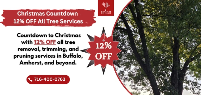 Seasonal Offers 9 snow removal 2 ezgif.com png to webp converter