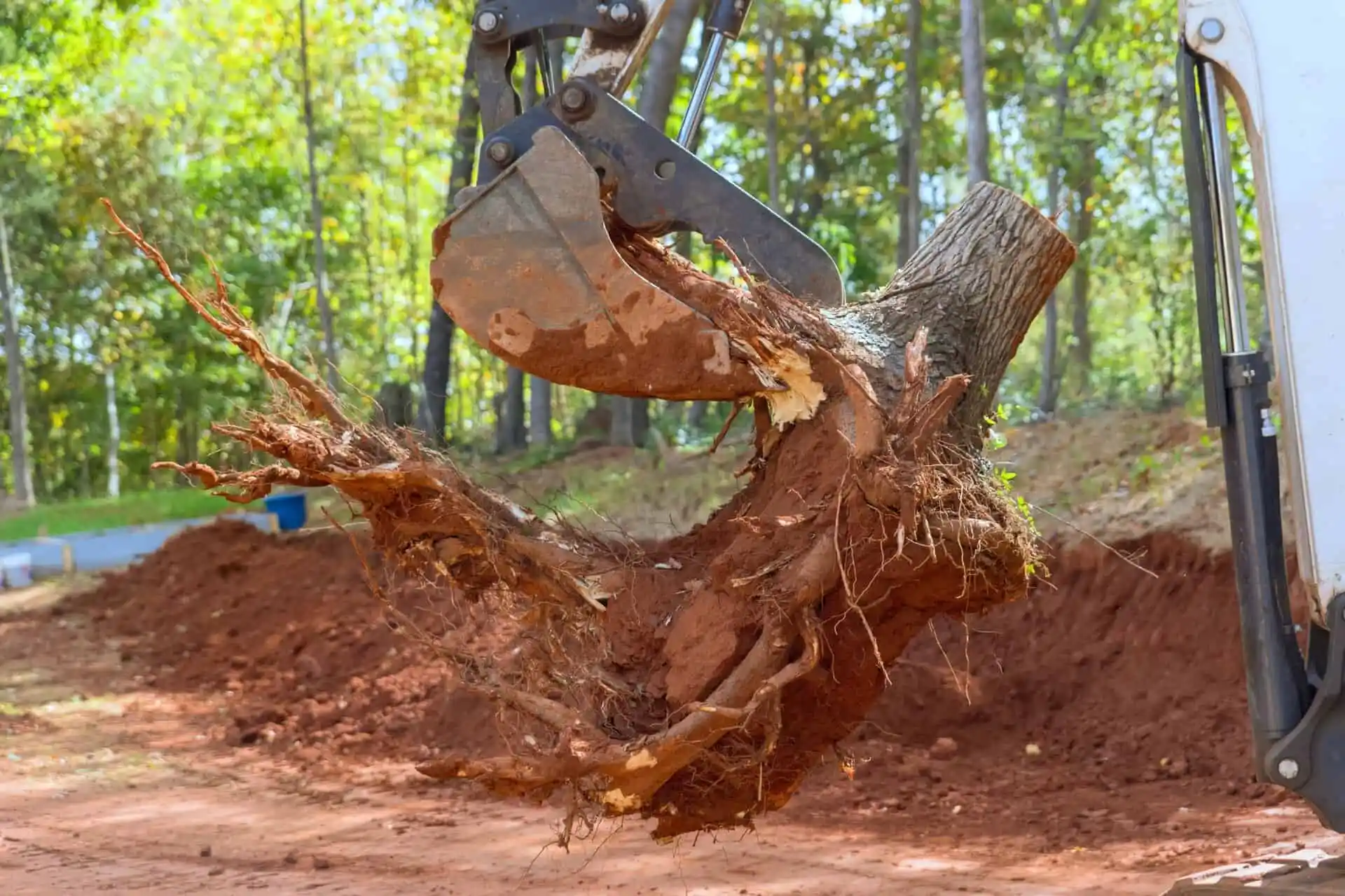 Stump Removal Buffalo NY 2 stump removal image