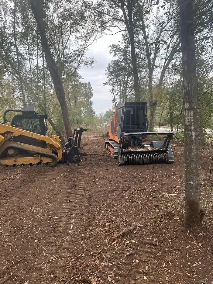 Land & Brush Clearing 2 tree brushing