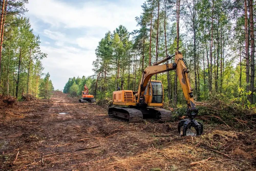 Land & Brush Clearing 8 tree brushing crushnf
