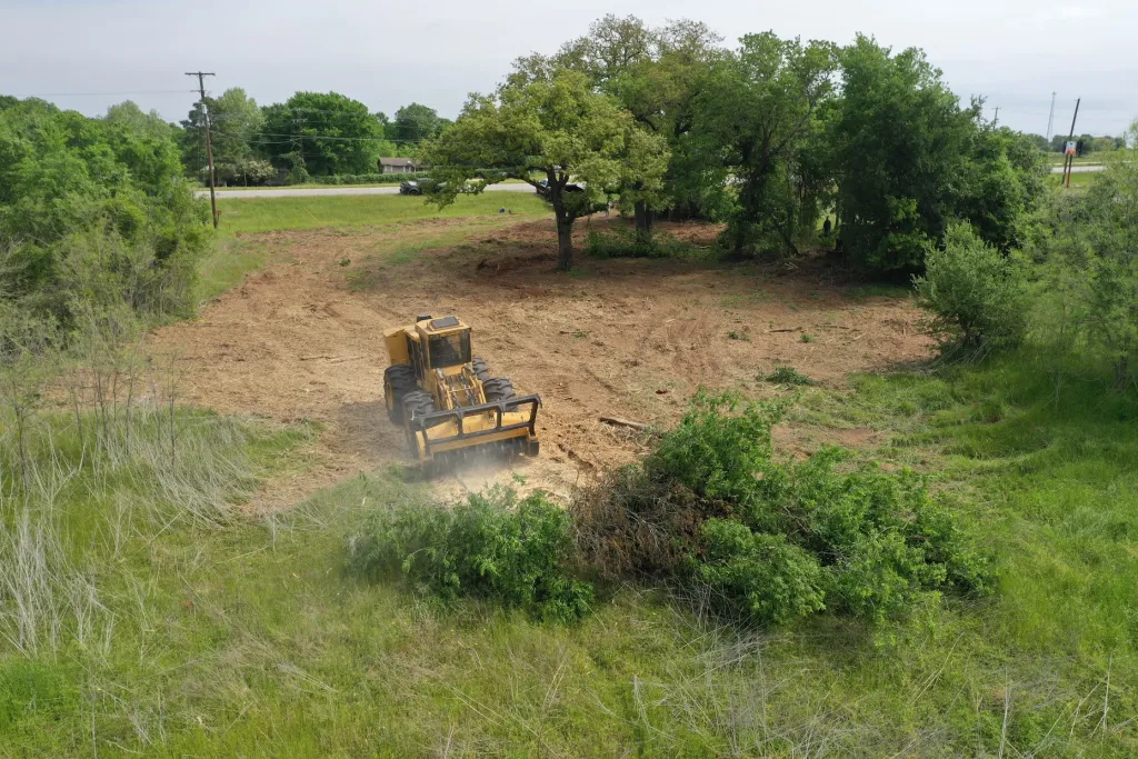 Land & Brush Clearing 1 tree brushing
