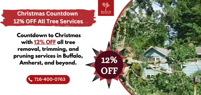 Seasonal Offers 17 tree service ezgif.com png to webp converter