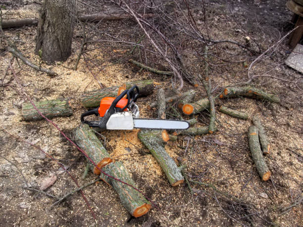 Tree Services in Depew NY