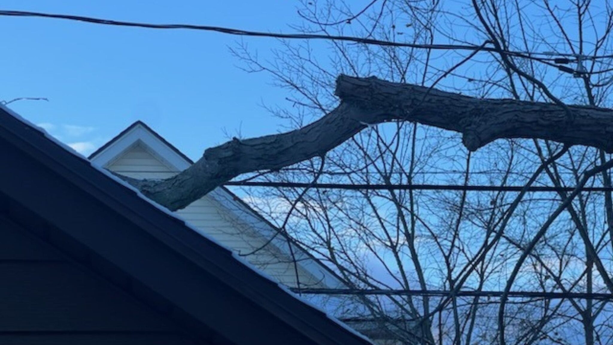 Clarence NY Tree Safety Checklist : Preparing Your Yard for Heavy ...