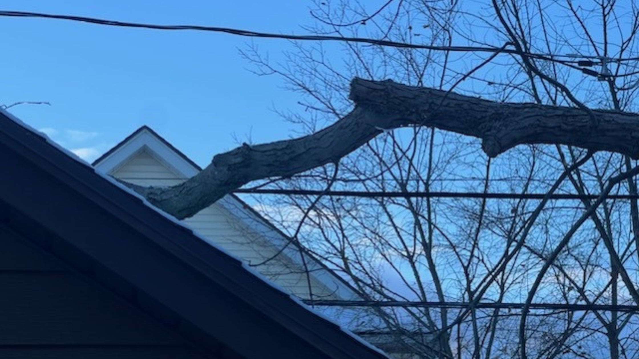 Clarence NY Tree Safety Checklist : Preparing Your Yard for Heavy Snowfall