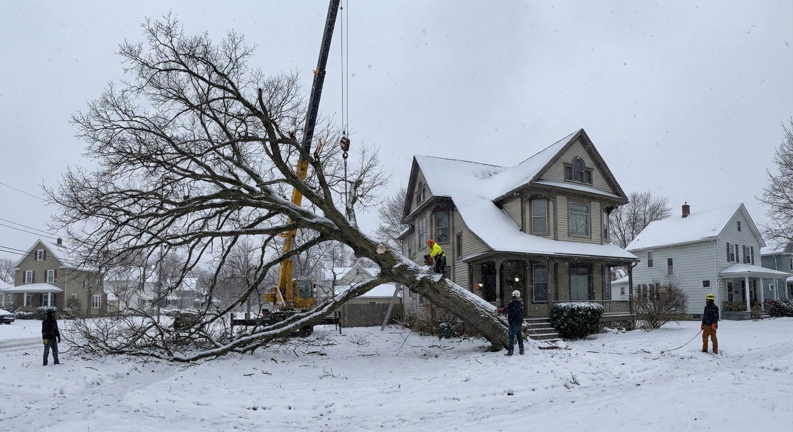 why winter tree removal Buffalo is crucial