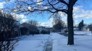 Buffalo’s Most Dangerous Winter Tree Hazards (and How to Fix Them Fast)