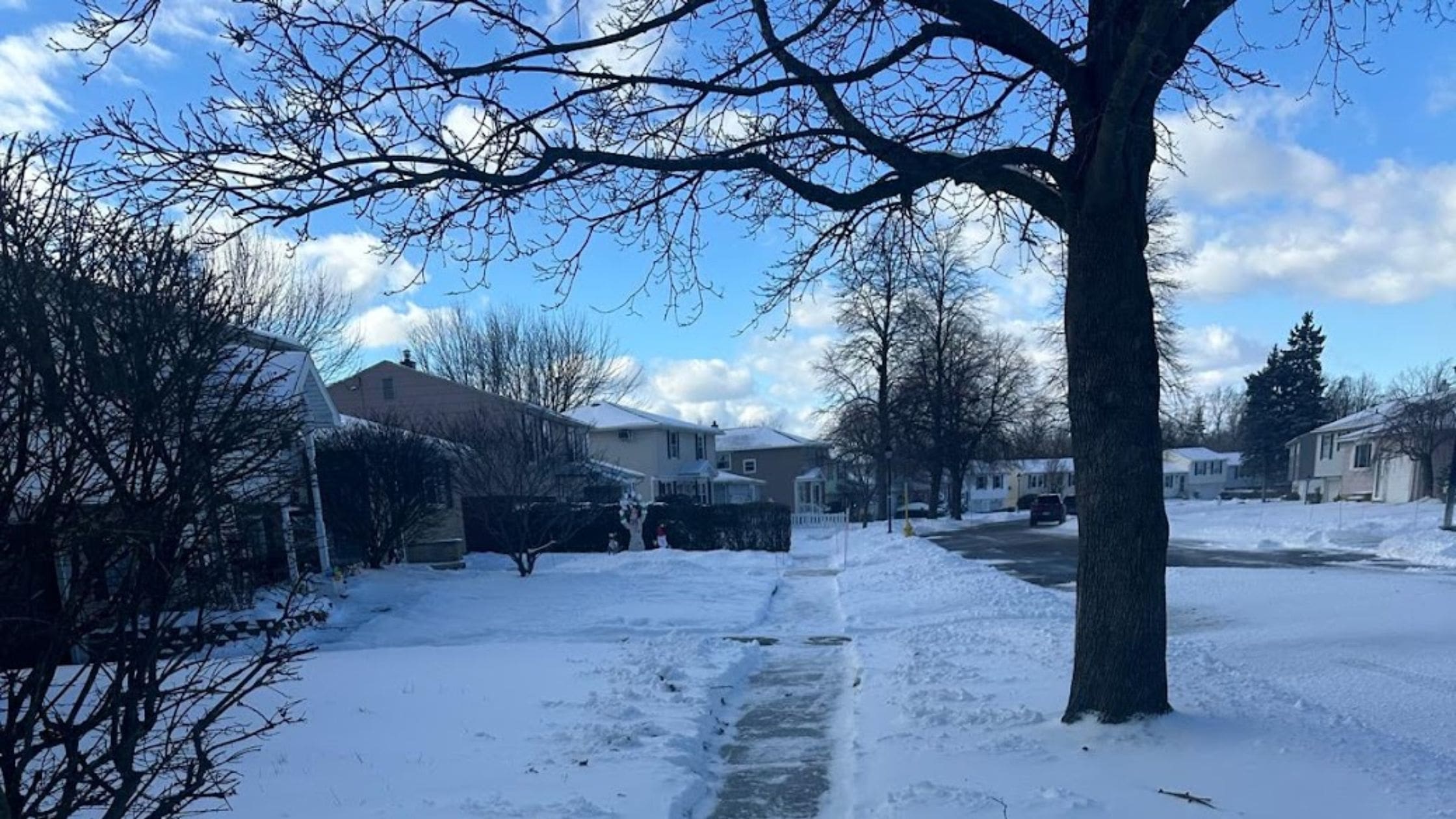 Buffalo’s Most Dangerous Winter Tree Hazards (and How to Fix Them Fast)