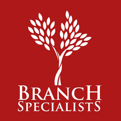 Branch Specialists Tree Service Buffalo NY