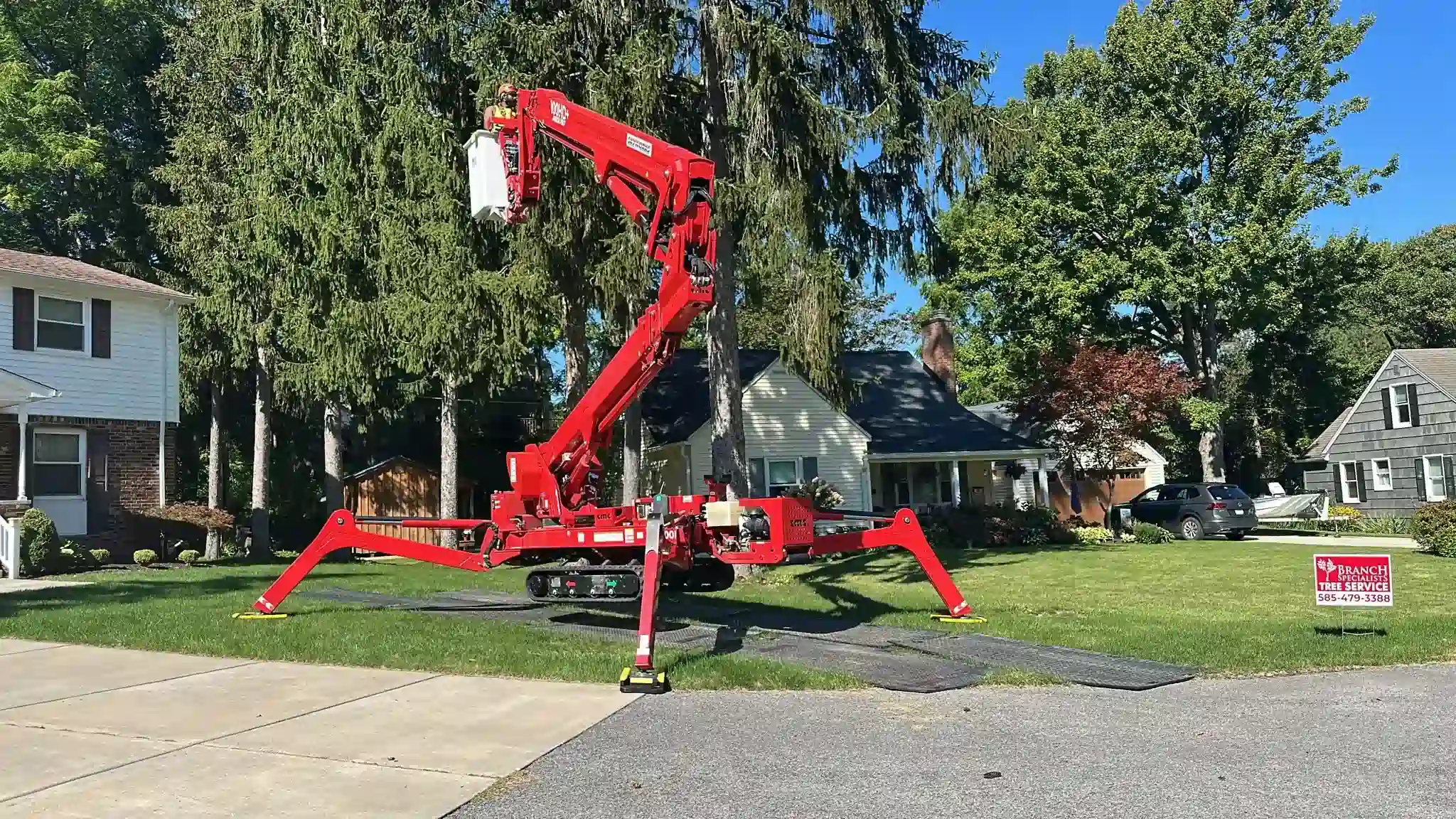 Professional tree service team at work in Cheektowaga, NY