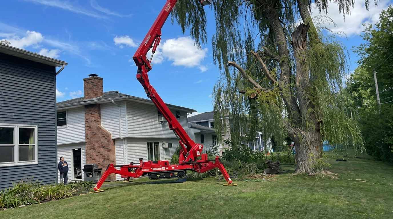 tree removal cost in Buffalo NY