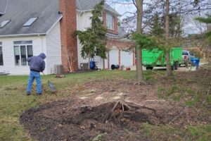 Branch Specialists crew member raking soil over a ground-out tree stump next to a Buffalo NY home after a tree removal